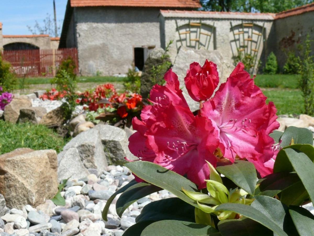 Pod Bocianem Noclegi Neisse Exterior foto