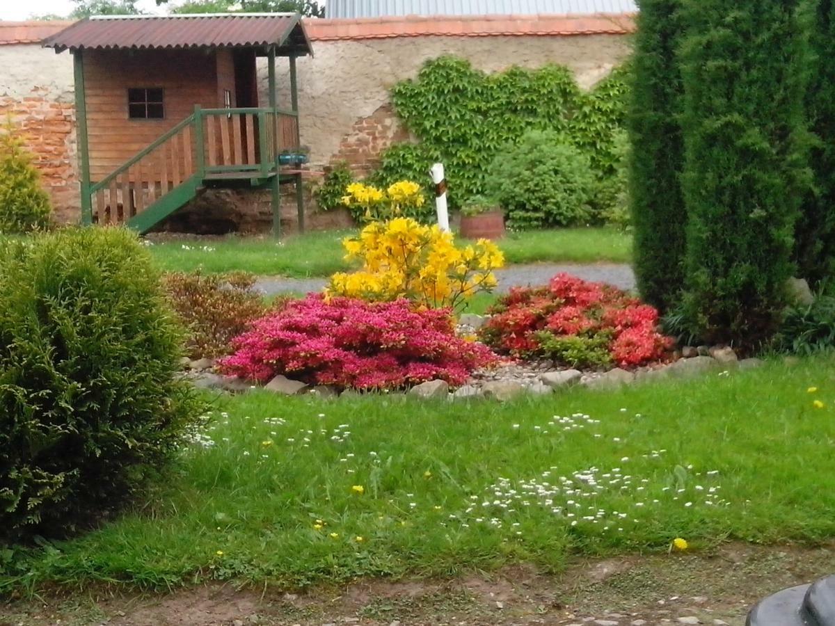 Pod Bocianem Noclegi Neisse Exterior foto